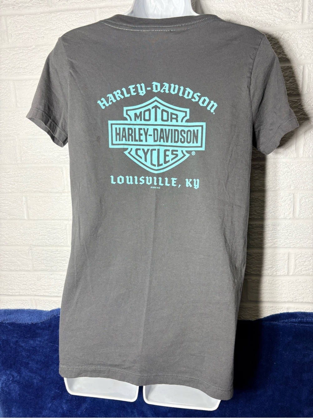 Harley-Davidson Gray Tee with Teal Logo